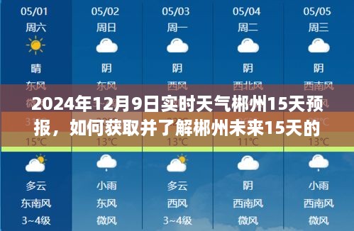 初學(xué)者指南，如何獲取并了解郴州未來(lái)15天的實(shí)時(shí)天氣預(yù)報(bào)——2024年12月9日及未來(lái)天氣速覽