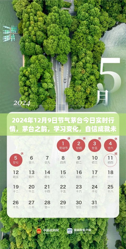 茅臺(tái)之韻，2024年12月9日實(shí)時(shí)行情啟示錄，洞悉變化，自信筑夢(mèng)未來(lái)