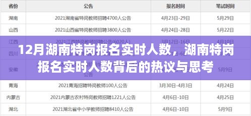 湖南特崗報(bào)名實(shí)時(shí)人數(shù)熱議與思考，背后的真相與啟示