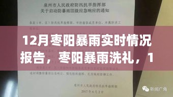 棗陽暴雨實(shí)時(shí)報(bào)告，12月暴雨洗禮下的最新情況分析