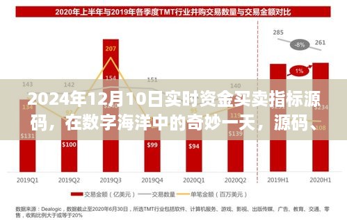 數字海洋中的奇妙一天，源碼揭秘與資金買賣指標之旅