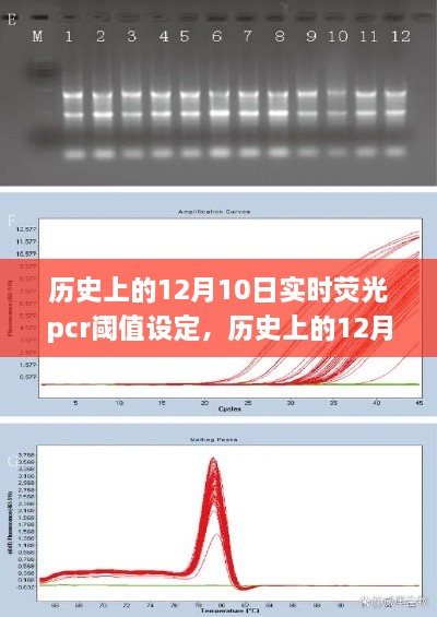 歷史上的12月10日，實(shí)時(shí)熒光PCR閾值設(shè)定的探索之旅