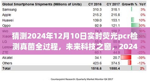 揭秘未來科技之窗，2024年實(shí)時(shí)熒光PCR檢測真菌全過程展望與解析