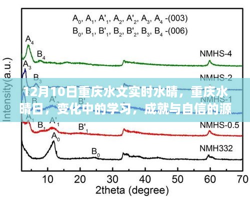 重慶水晴日下的學(xué)習(xí)成就與自信之源，變化中的探索與成長(zhǎng)之路