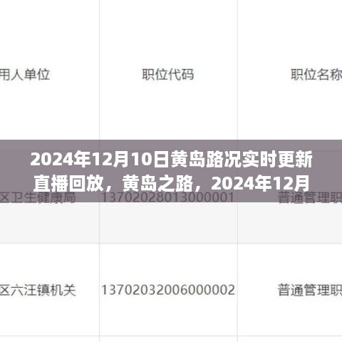 2024年12月10日黃島路況實錄與深度解讀，實時更新直播回放