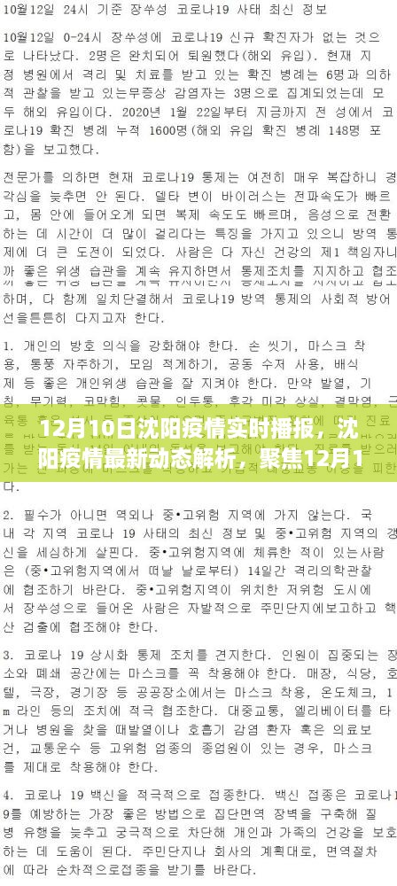 沈陽疫情最新動態(tài)解析，聚焦實時播報與個人觀點（12月10日更新）