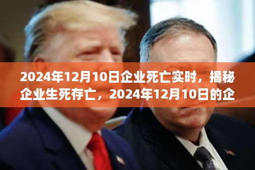 揭秘企業(yè)生死存亡，企業(yè)死亡實時真相揭秘（2024年12月10日）