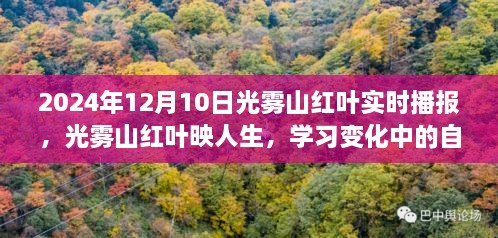 光霧山紅葉映人生，自信與成就之旅的實時播報（2024年12月）