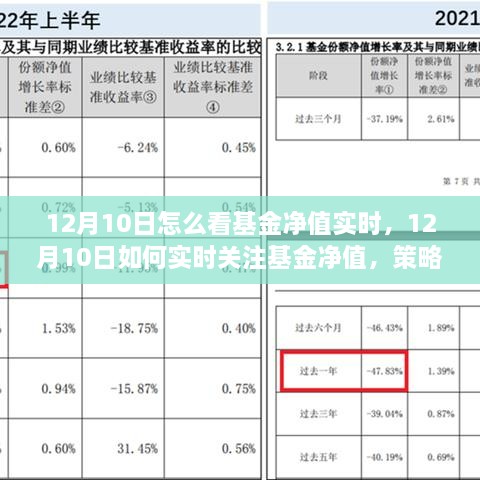 12月10日基金凈值實時關(guān)注策略與技巧，如何掌握基金動態(tài)