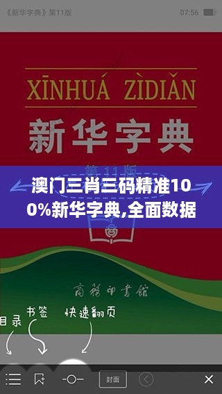 澳門三肖三碼精準(zhǔn)100%新華字典,全面數(shù)據(jù)分析方案_Prime7.849