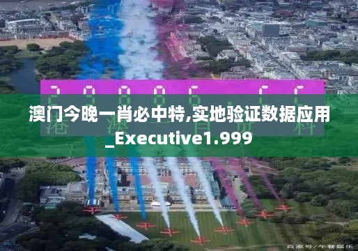 澳門今晚一肖必中特,實地驗證數(shù)據(jù)應(yīng)用_Executive1.999