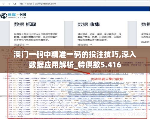 澳門一碼中精準一碼的投注技巧,深入數(shù)據(jù)應用解析_特供款5.416