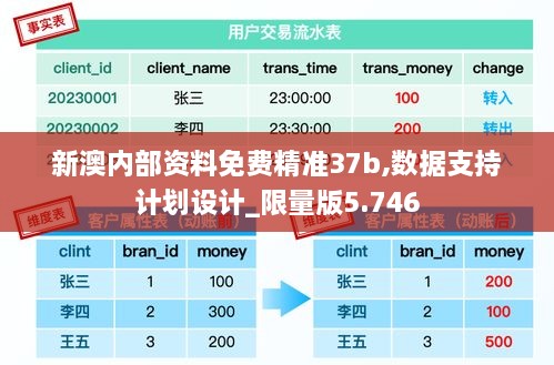 新澳內(nèi)部資料免費精準37b,數(shù)據(jù)支持計劃設(shè)計_限量版5.746