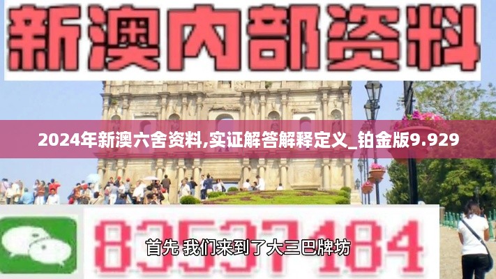 2024年新澳六舍資料,實證解答解釋定義_鉑金版9.929