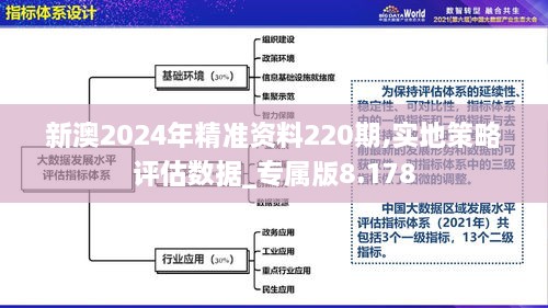 新澳2024年精準(zhǔn)資料220期,實(shí)地策略評(píng)估數(shù)據(jù)_專屬版8.178