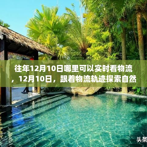 12月10日物流追蹤之旅，自然懷抱的心靈探索之旅