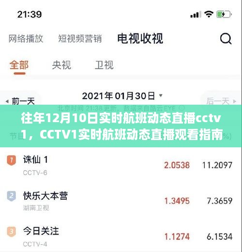 CCTV1實時航班動態(tài)直播指南，輕松追蹤航班動態(tài)，初學者友好教程