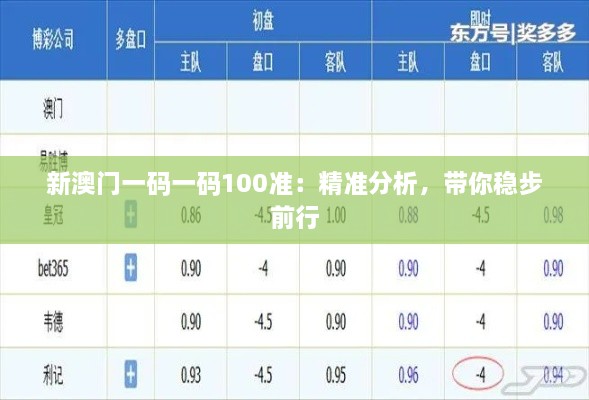 新澳門一碼一碼100準：精準分析，帶你穩(wěn)步前行