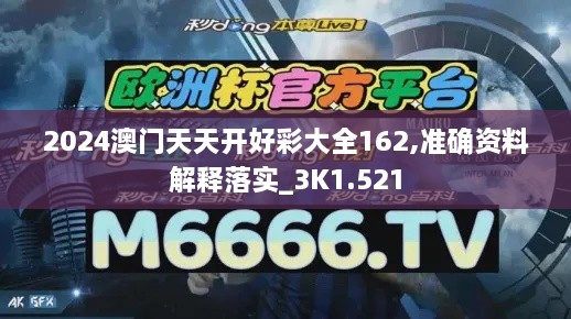 2024澳門天天開好彩大全162,準(zhǔn)確資料解釋落實(shí)_3K1.521