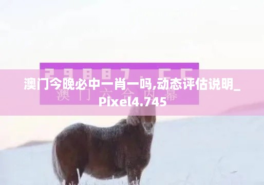 澳門今晚必中一肖一嗎,動(dòng)態(tài)評(píng)估說(shuō)明_Pixel4.745