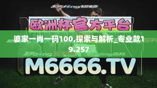 婆家一肖一碼100,探索與解析_專業(yè)款19.257