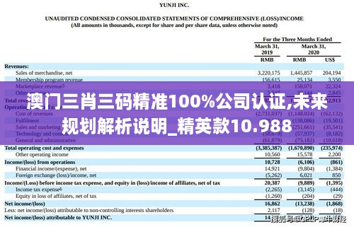 澳門三肖三碼精準(zhǔn)100%公司認(rèn)證,未來規(guī)劃解析說明_精英款10.988