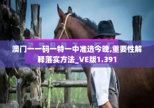 澳門一一碼一特一中準(zhǔn)選今晚,重要性解釋落實方法_VE版1.391