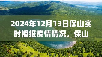 保山疫情實(shí)時(shí)播報(bào)與美景之旅，心靈避風(fēng)港，啟程尋找內(nèi)心寧?kù)o與奇跡之旅（XXXX年XX月XX日）