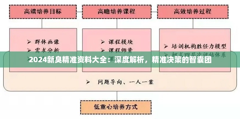 2024新臭精準(zhǔn)資料大全：深度解析，精準(zhǔn)決策的智囊團(tuán)