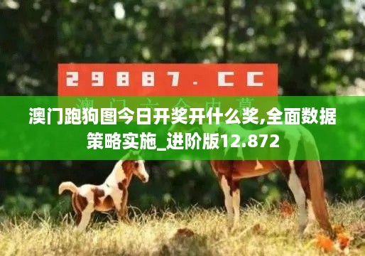 澳門跑狗圖今日開獎開什么獎,全面數(shù)據策略實施_進階版12.872