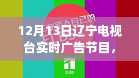 遼寧電視臺揭秘最新高科技產品，重塑未來生活體驗直播秀