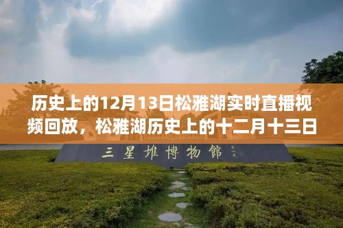 松雅湖直播回放，探尋歷史記憶碎片的十二月十三日