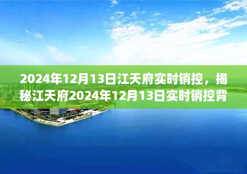 揭秘江天府實時銷控背后的秘密，深度解析2024年12月13日數(shù)據(jù)動態(tài)與趨勢分析