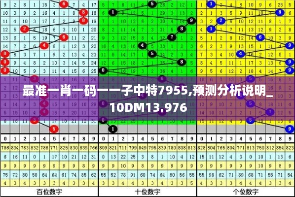 最準(zhǔn)一肖一碼一一子中特7955,預(yù)測分析說明_10DM13.976