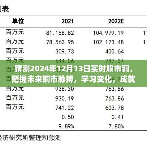 揭秘2024年12月13日股市銅市走向，洞悉變化成就投資夢(mèng)想