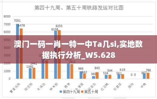 澳門一碼一肖一特一中Ta幾si,實地數(shù)據(jù)執(zhí)行分析_W5.628