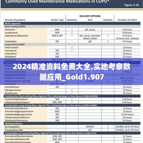 2024精準資料免費大全,實地考察數(shù)據(jù)應用_Gold1.907