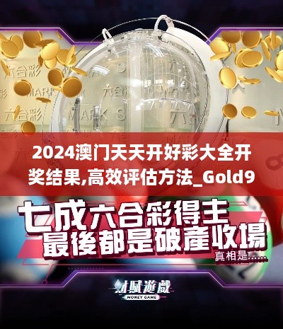 2024澳門天天開好彩大全開獎結果,高效評估方法_Gold9.851