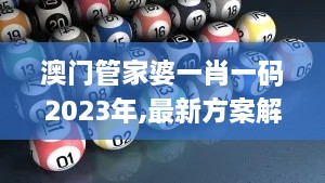 澳門(mén)管家婆一肖一碼2023年,最新方案解析_限量版2.570