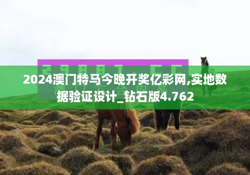 2024澳門(mén)特馬今晚開(kāi)獎(jiǎng)億彩網(wǎng),實(shí)地?cái)?shù)據(jù)驗(yàn)證設(shè)計(jì)_鉆石版4.762