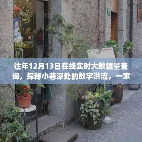 探秘小巷特色小店的大數據之旅，在線實時大數據量查詢揭秘數字洪流背后的故事——12月13日深度觀察