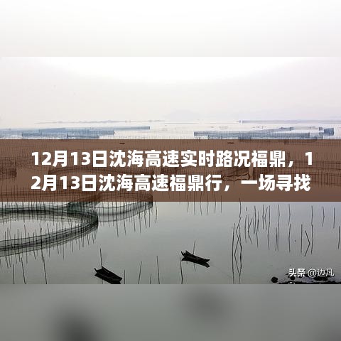 12月13日沈海高速福鼎路況實時更新，心靈與自然之旅的親密接觸