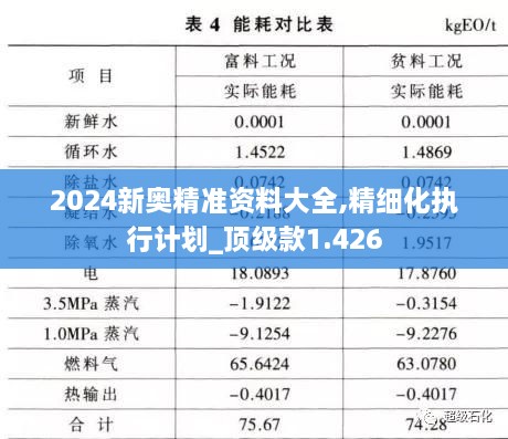 2024新奧精準(zhǔn)資料大全,精細(xì)化執(zhí)行計(jì)劃_頂級(jí)款1.426