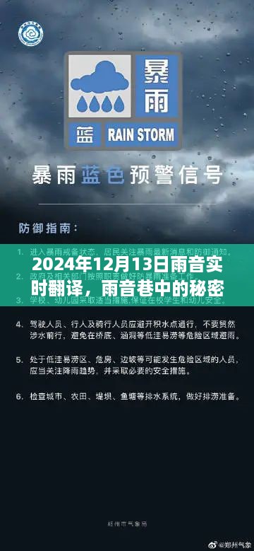 雨音巷的秘密寶藏，實(shí)時(shí)翻譯小店的傳奇故事（2024年12月13日）