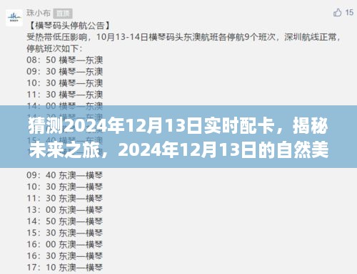 揭秘未來(lái)之旅，啟程尋找內(nèi)心的寧?kù)o與平和——2024年12月13日自然美景配卡猜想