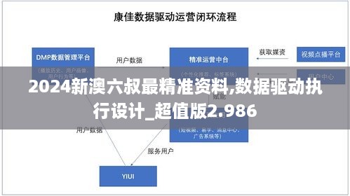 2024新澳六叔最精準(zhǔn)資料,數(shù)據(jù)驅(qū)動(dòng)執(zhí)行設(shè)計(jì)_超值版2.986