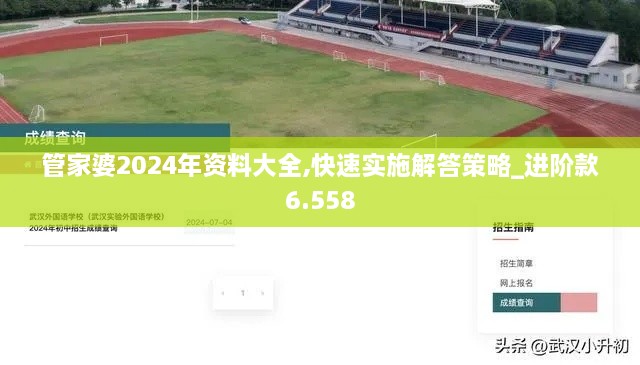 管家婆2024年資料大全,快速實施解答策略_進階款6.558