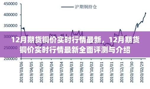 2024年12月19日 第22頁