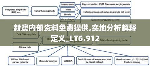 新澳內部資料免費提供,實地分析解釋定義_LT6.912