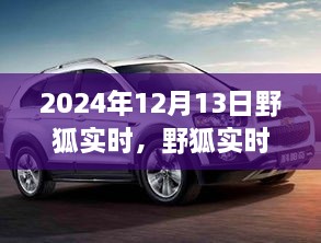 野狐實時，溫馨日常中的歡樂時光（2024年12月13日）